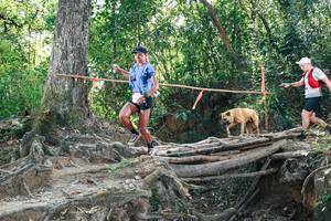 BIB: 
                            <button type="button" onclick="openModal(27742854)" class="btn btn-primary btn-sm float-right btn-popup" data-toggle="modal" data-target=".modal-high-quality">
                        <i class="fas fa-shopping-cart"></i> Add to Cart
                    </button>
                                            <button type="button" onclick="isThisMe(27742854, true)" class="btn btn-success btn-sm float-right btn-popup btn-isme hidden" data-toggle="tooltip" data-placement="bottom" title="นี่คือรูปของคุณใช่ไหม คลิกที่นี่เพื่อเอาเข้าอัลบั้ม">
                        <i class="fas fa-plus"></i> Add to album
                    </button>
                    <button type="button" onclick="isThisMe(27742854, false)" class="btn btn-warning btn-sm float-right btn-popup btn-isnotme hidden">
                        <i class="fas fa-ban"></i> Remove from album
                    </button>